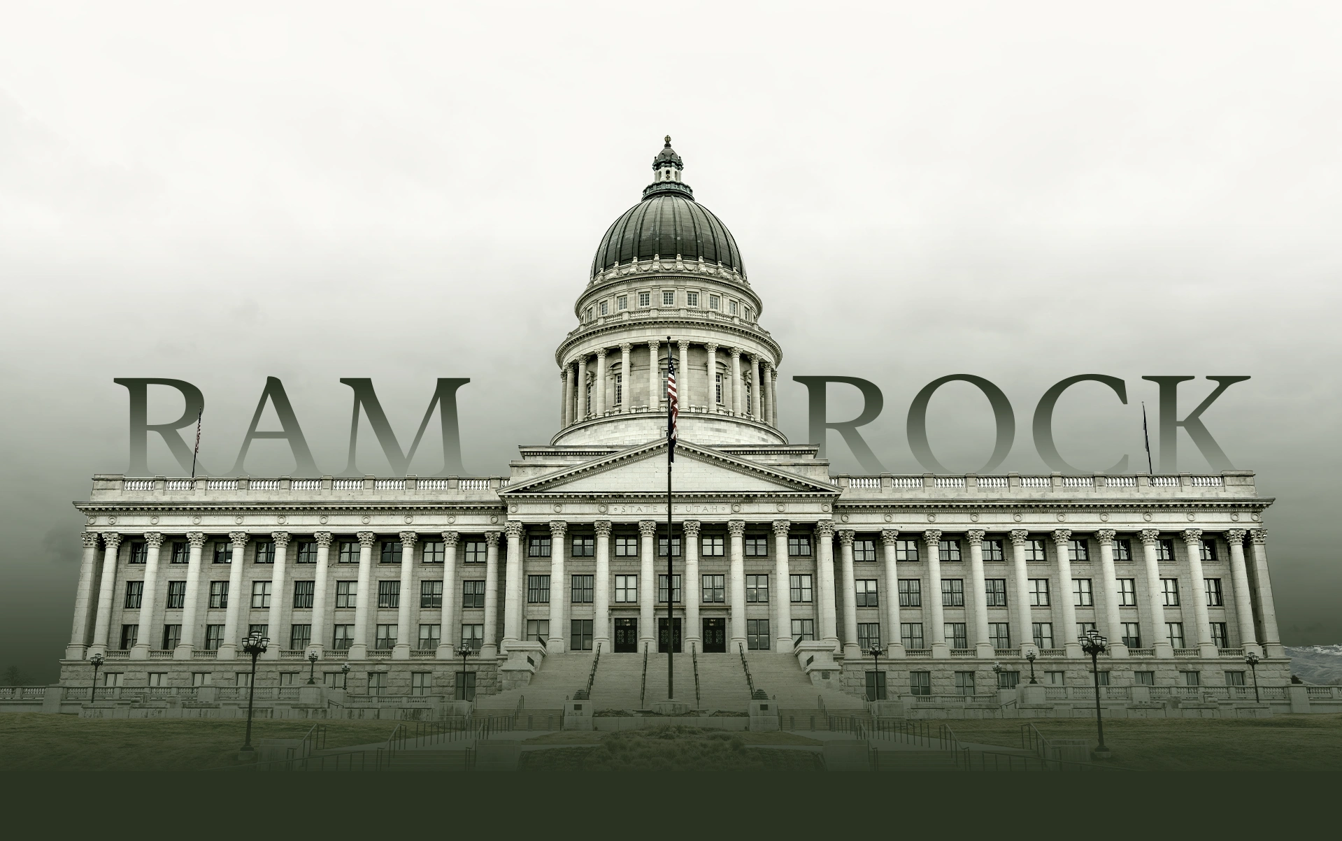 Case Setion Background