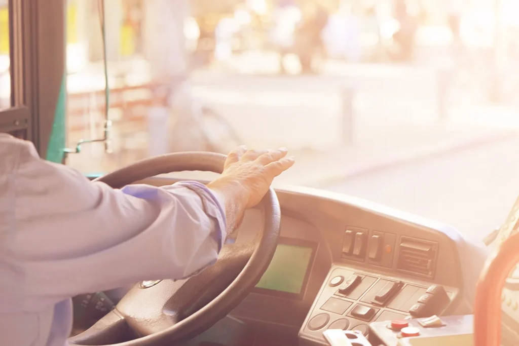 A commercial vehicle driver and the steering wheel.