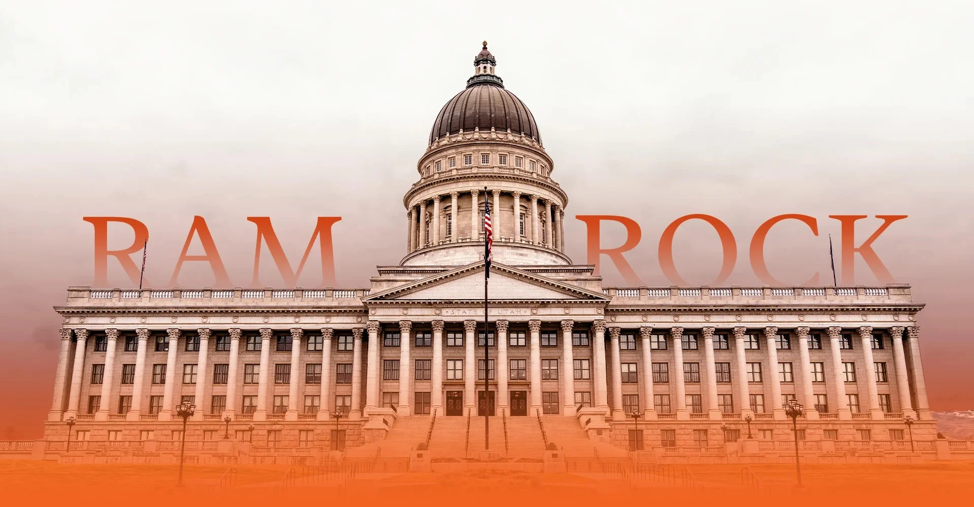 Case Setion Background